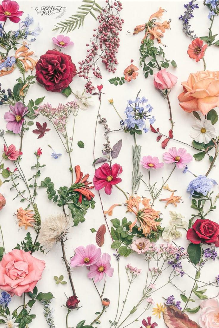 Whimsical Winds Enchanted Flower Array